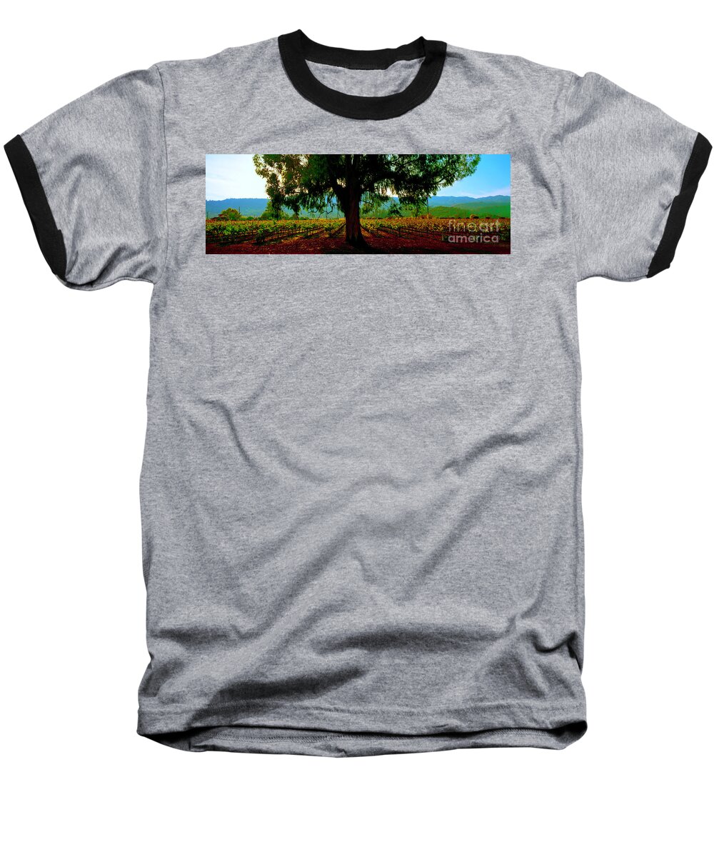 Napa Baseball T-Shirt featuring the photograph Napa Valley winery roadside by Tom Jelen