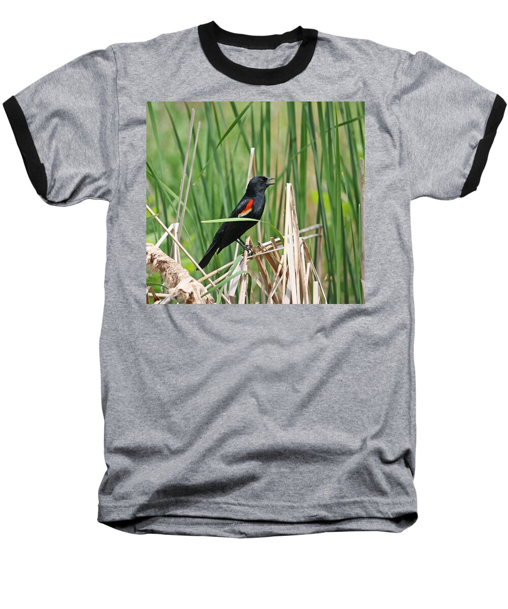 Nature Photo Baseball T-Shirt featuring the photograph Nature speaks by Kimber Butler