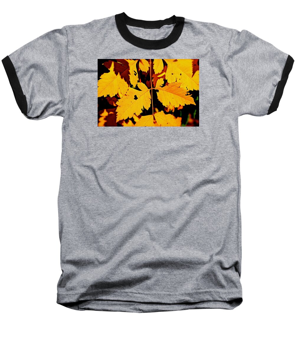 Pattern Baseball T-Shirt featuring the photograph Nature's Designworks by Ira Shander