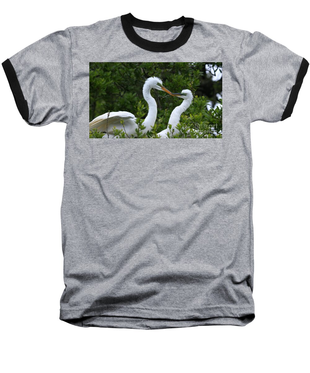 Great Egrets Baseball T-Shirt featuring the photograph Nest Building by John F Tsumas