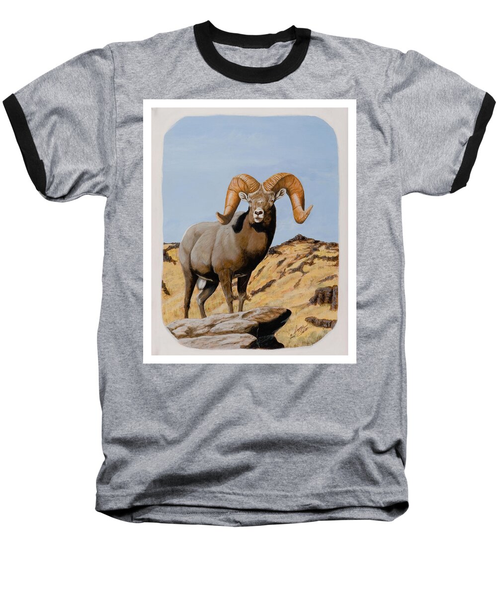 Nevada Baseball T-Shirt featuring the painting Nevada California Bighorn by Darcy Tate