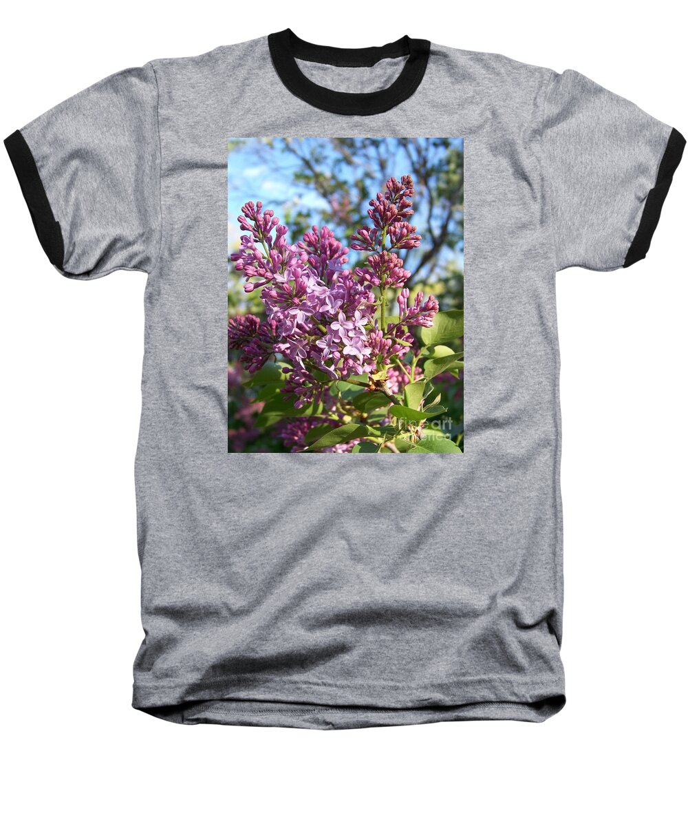 Purple Baseball T-Shirt featuring the photograph Purple Lilac by Eunice Miller