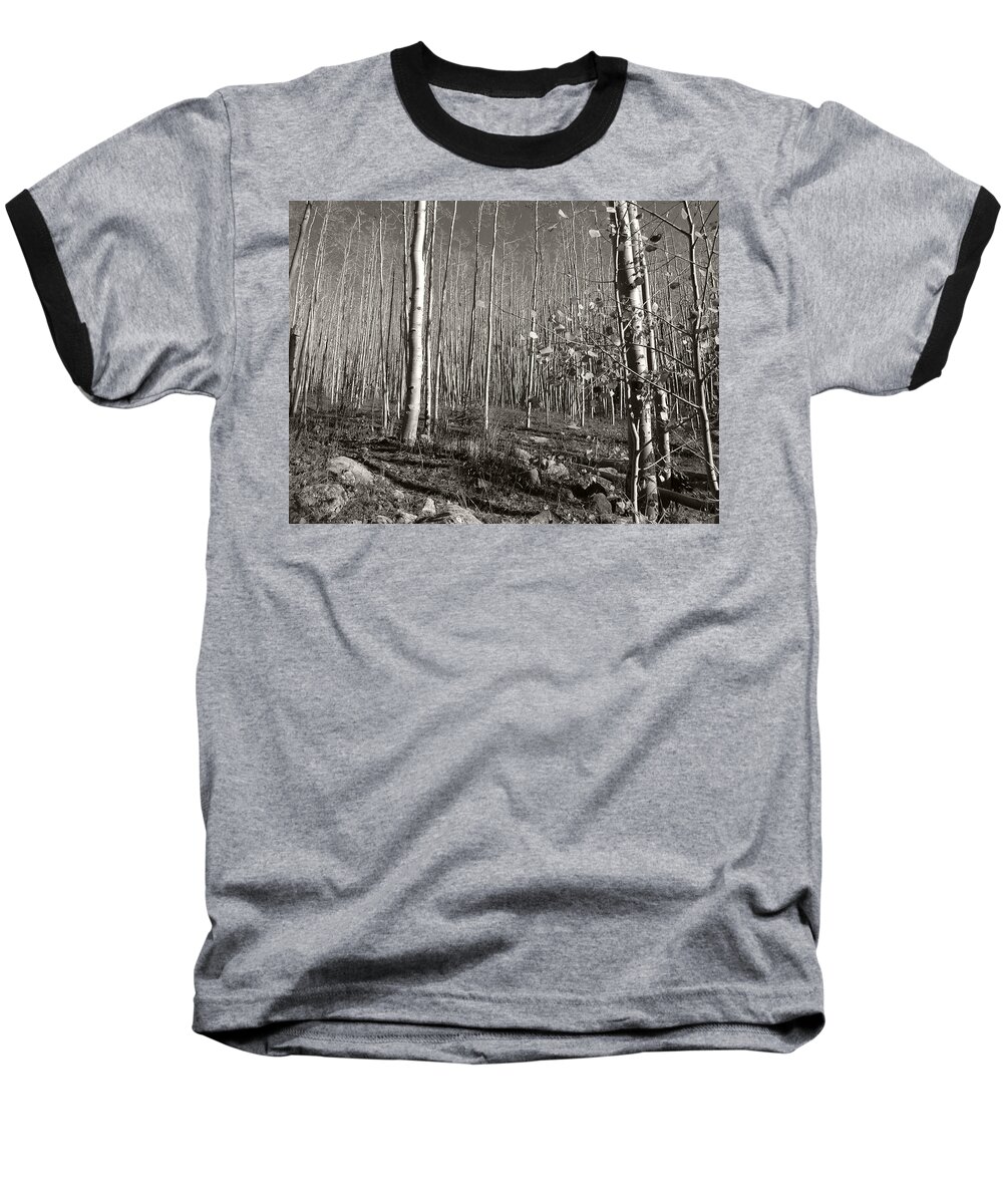 Landscape Baseball T-Shirt featuring the photograph New Mexico Series - Bare Autumn bw by Kathleen Grace
