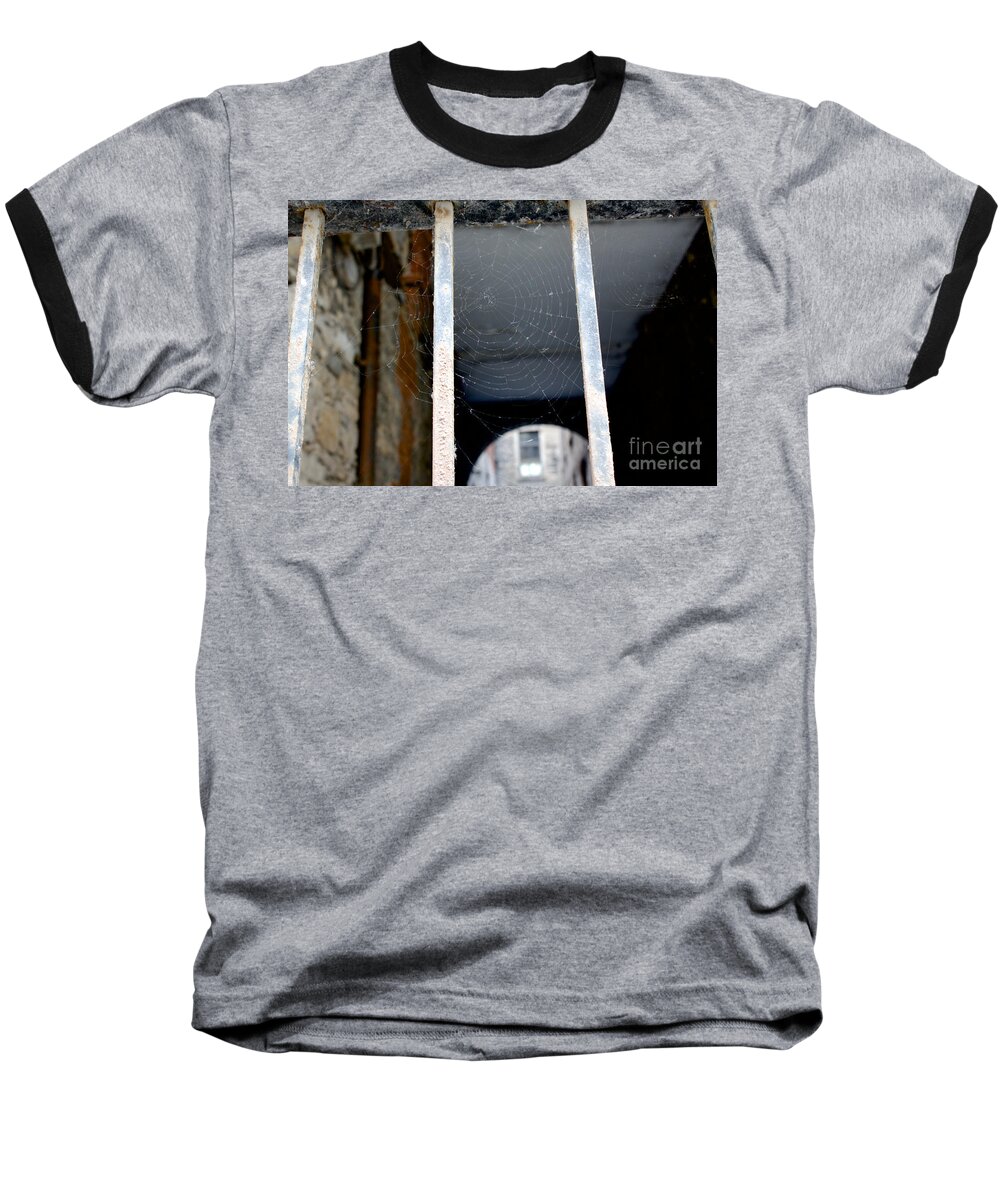 Settler Baseball T-Shirt featuring the photograph New Settlers on Our Rust by Donato Iannuzzi