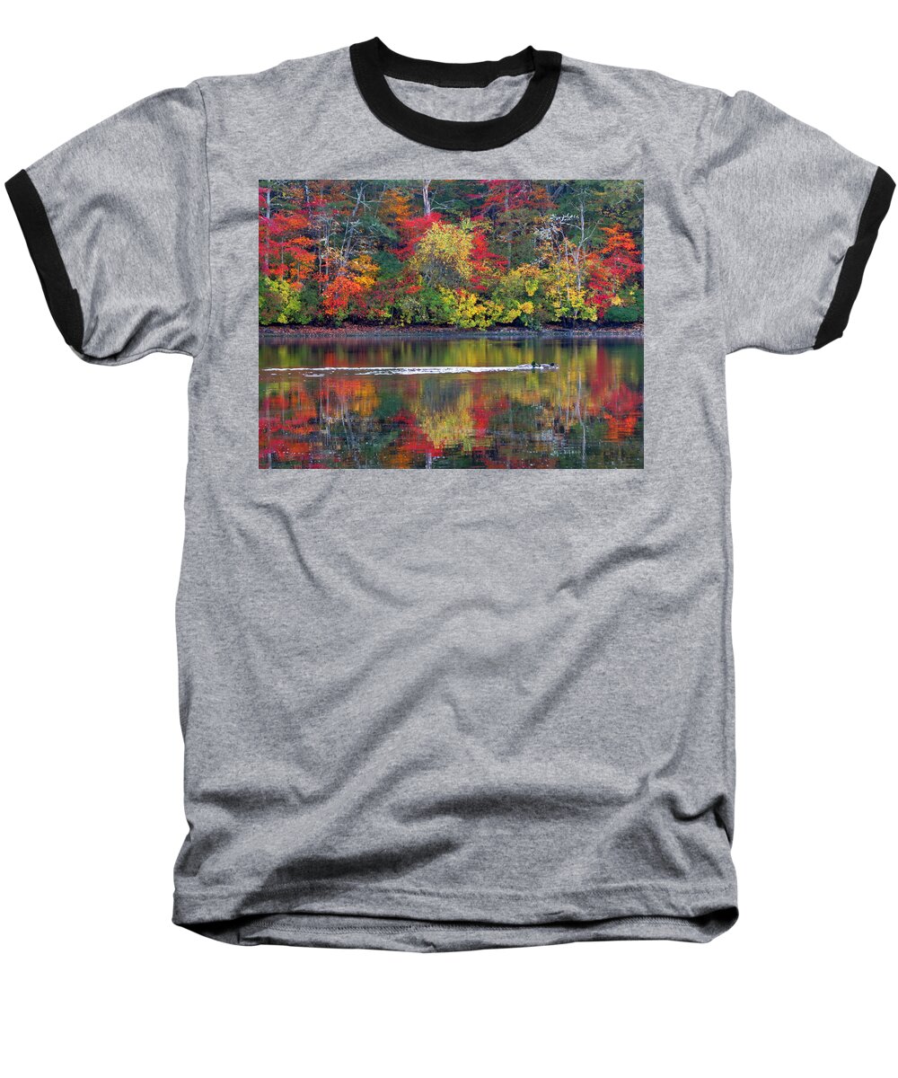 Trees Baseball T-Shirt featuring the photograph October's Colors by Dianne Cowen Cape Cod Photography