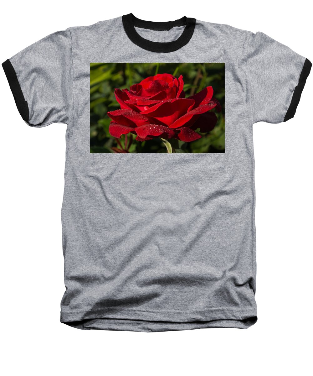 Red Rose Baseball T-Shirt featuring the photograph Of Red Roses and Diamonds by Georgia Mizuleva