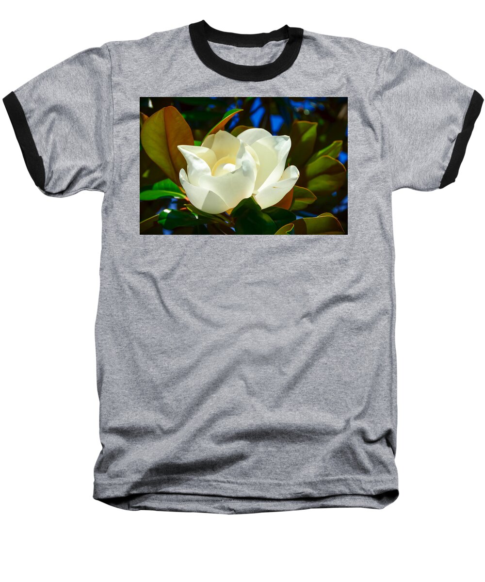 Magnolia Baseball T-Shirt featuring the photograph Oh Sweet Magnolia by Debra Martz