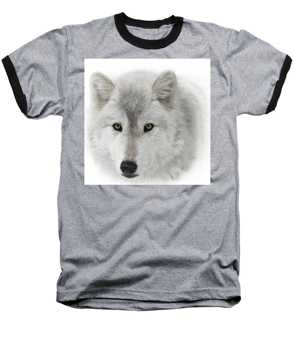 Oh Those Eyes Baseball T-Shirt featuring the photograph Oh Those Eyes by Wes and Dotty Weber