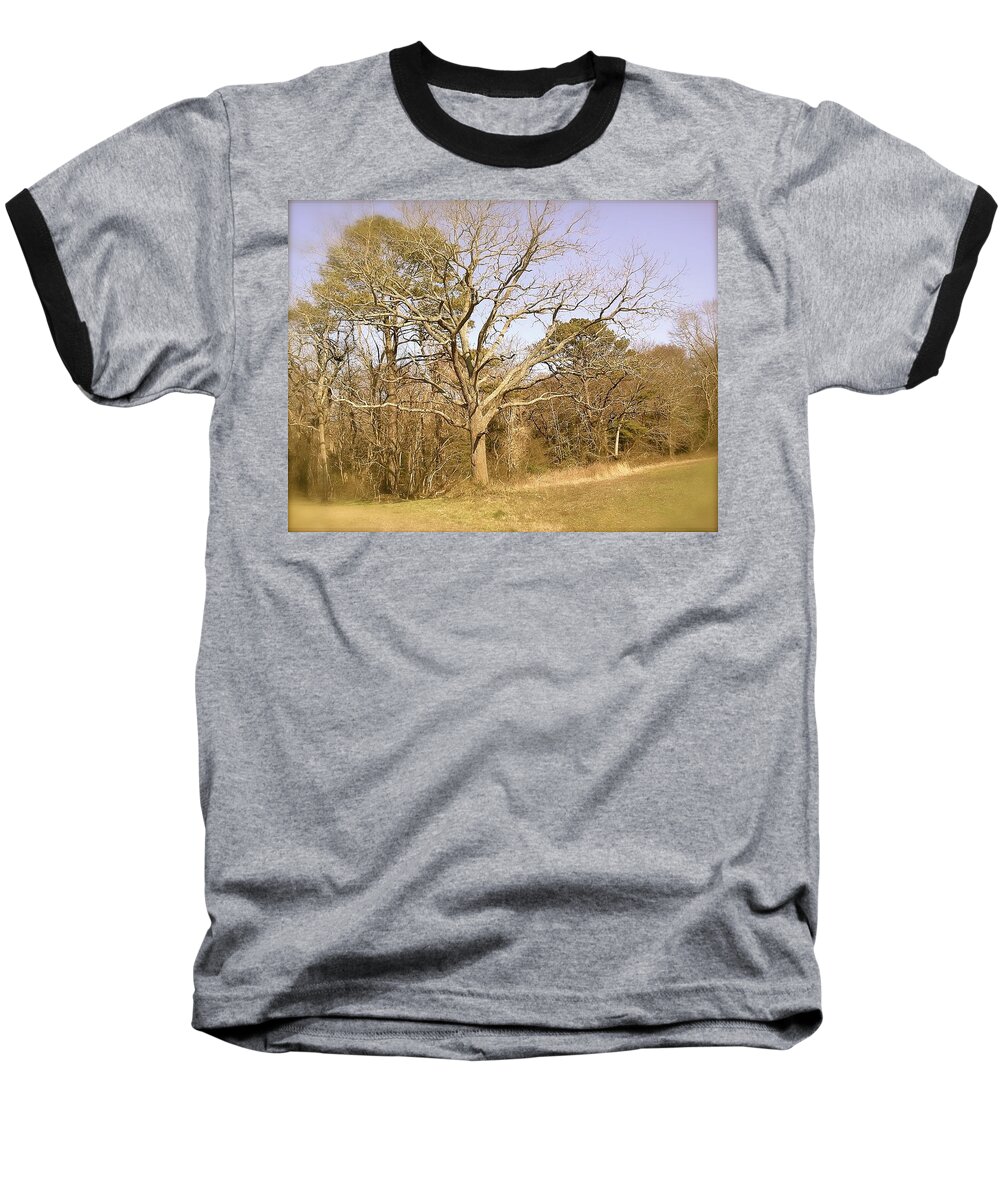 Old Baseball T-Shirt featuring the photograph Old Haunted Tree by Chris W Photography AKA Christian Wilson