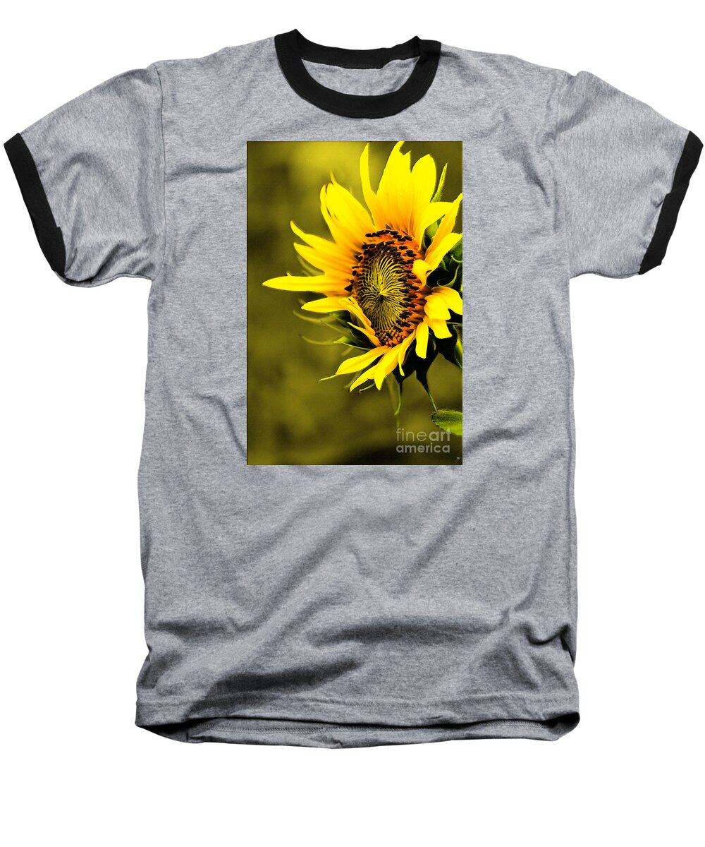 Plant Baseball T-Shirt featuring the photograph Old Time Sunflower by Sandra Clark