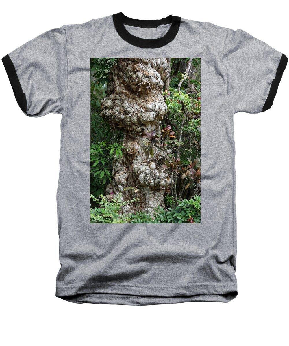 Old Tree Baseball T-Shirt featuring the photograph Old Tree by Rafael Salazar