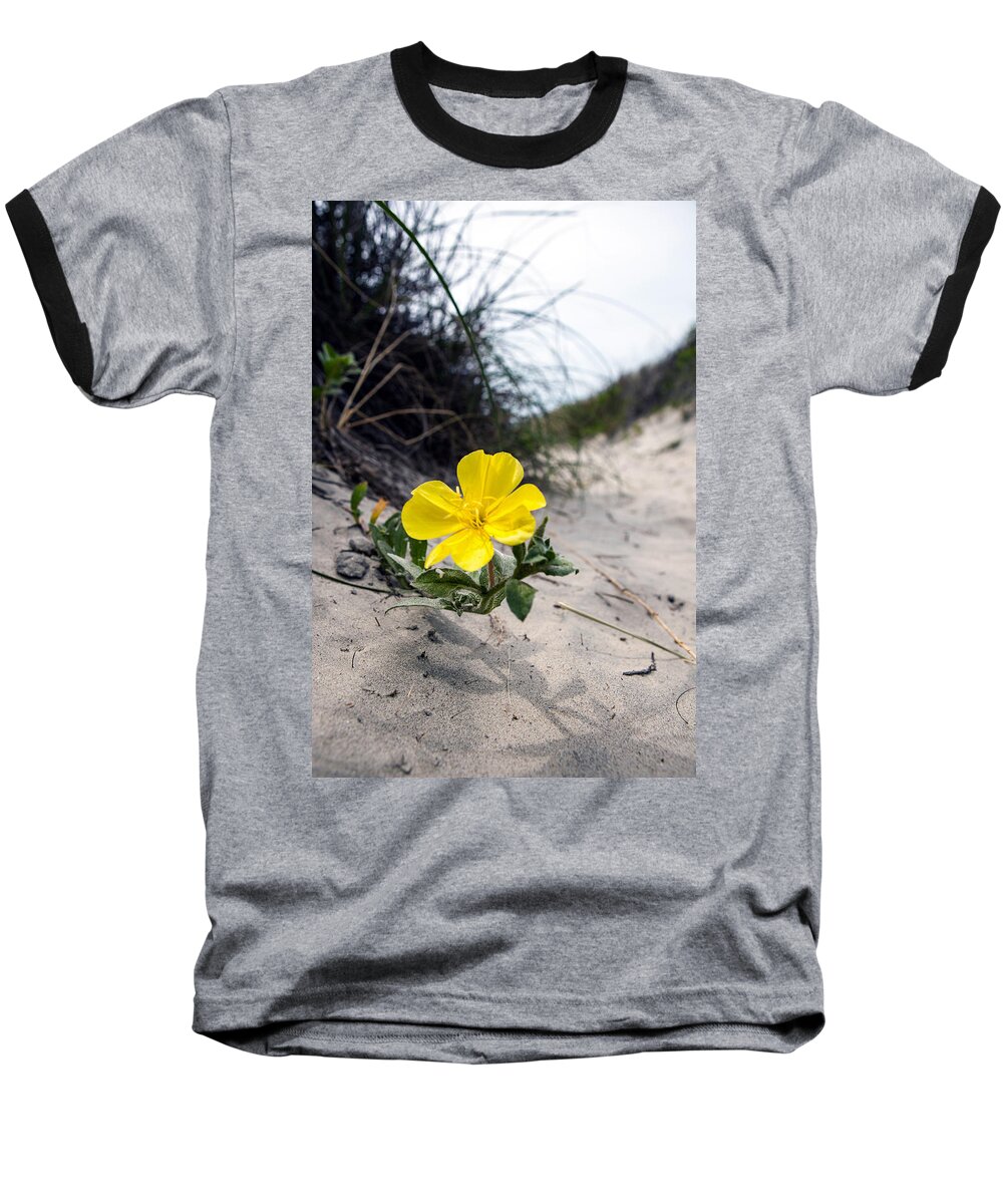 Landscape Baseball T-Shirt featuring the photograph On the path by Sennie Pierson