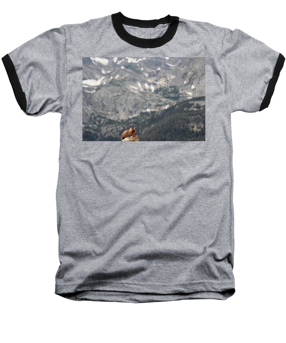 Marmot Baseball T-Shirt featuring the photograph On Top Of The World by Shane Bechler