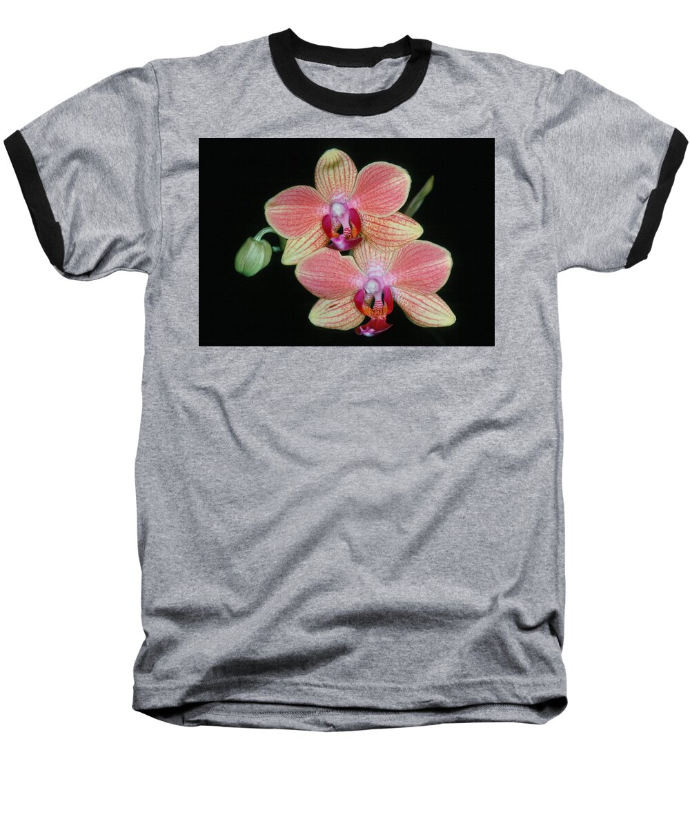 Flower Baseball T-Shirt featuring the photograph Orchid 4 by Andy Shomock