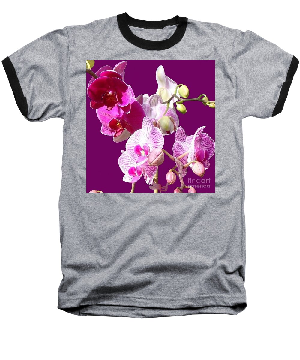 Orchids Baseball T-Shirt featuring the photograph Orchids for Spring by Janette Boyd