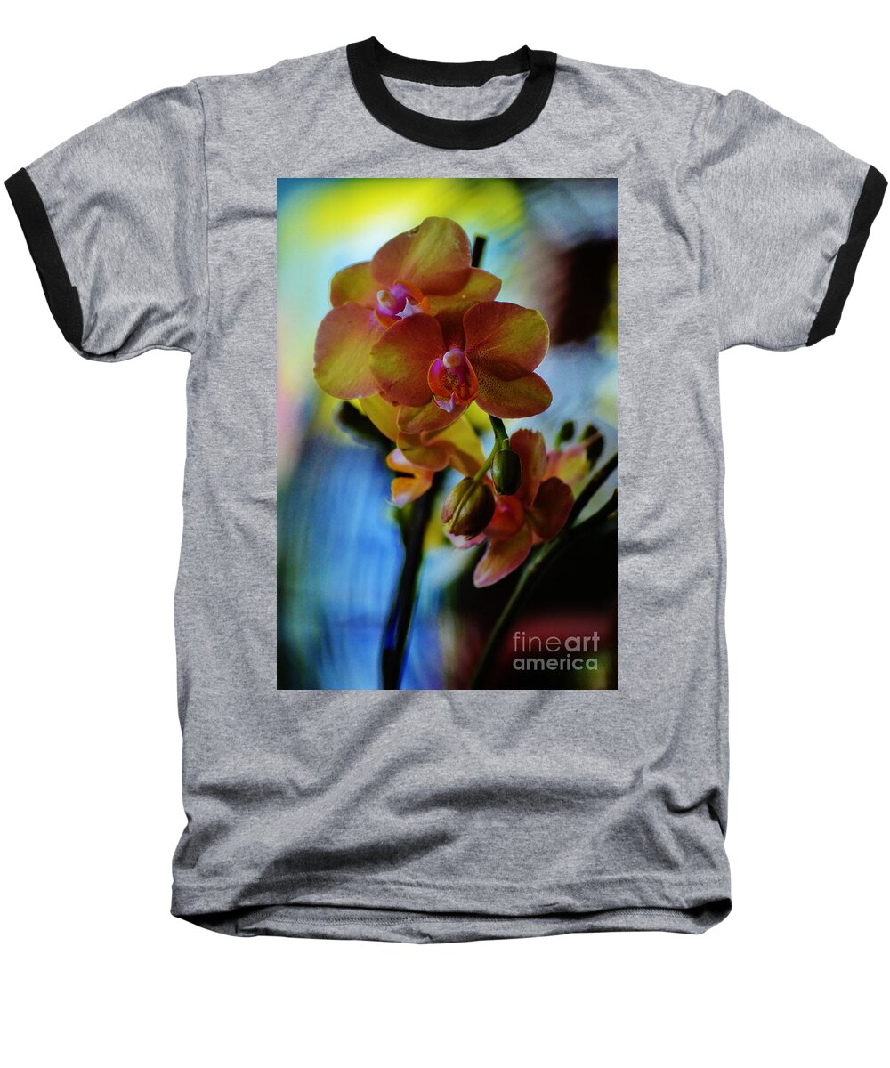 Flowers Baseball T-Shirt featuring the photograph Orchids Three by Tamara Michael
