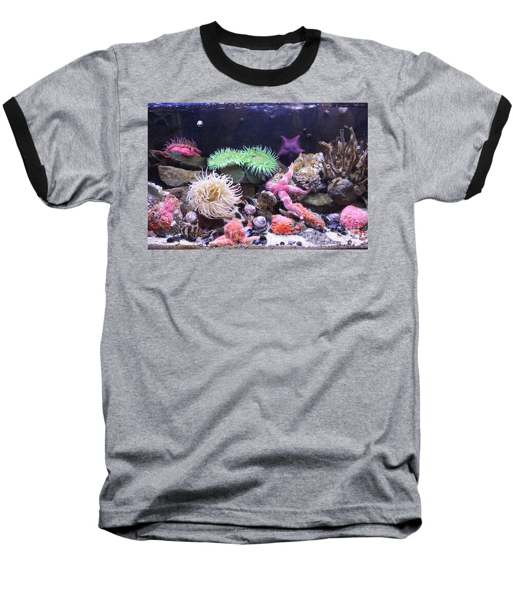 Colours Baseball T-Shirt featuring the photograph Our Colourful Underwater World by Vicki Spindler