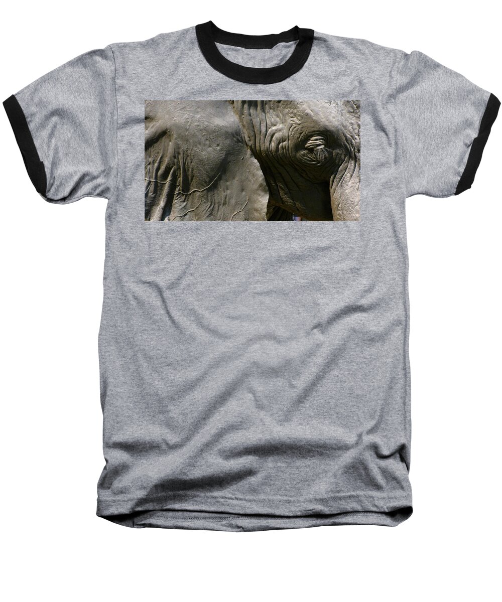Elephant Baseball T-Shirt featuring the photograph Pachyderm by Jennifer Wheatley Wolf