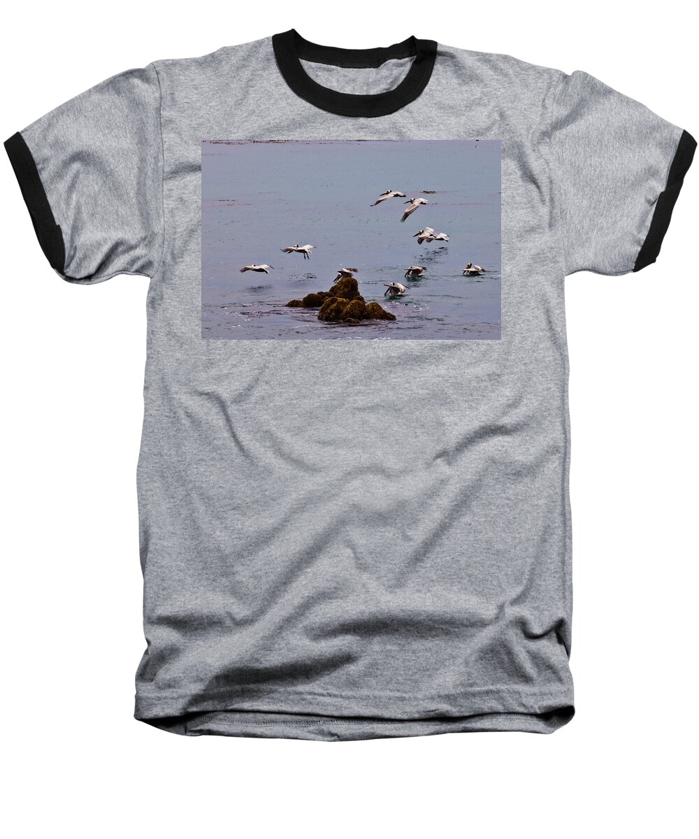 Bird Baseball T-Shirt featuring the photograph Pacific Landing by Melinda Ledsome