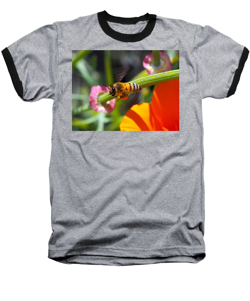 Spring Baseball T-Shirt featuring the photograph Packin Poppy Pollen by Joe Schofield