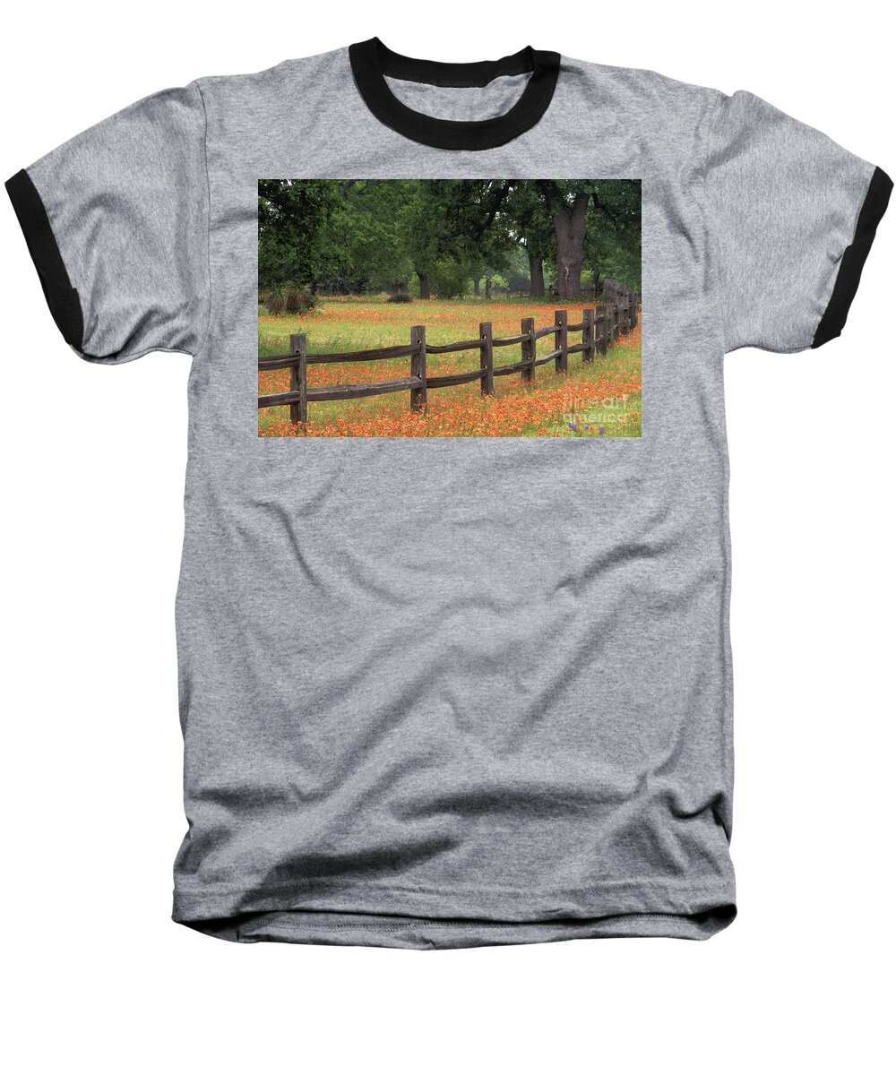 Indian Baseball T-Shirt featuring the photograph Paintbrush Fence - FS000909 by Daniel Dempster