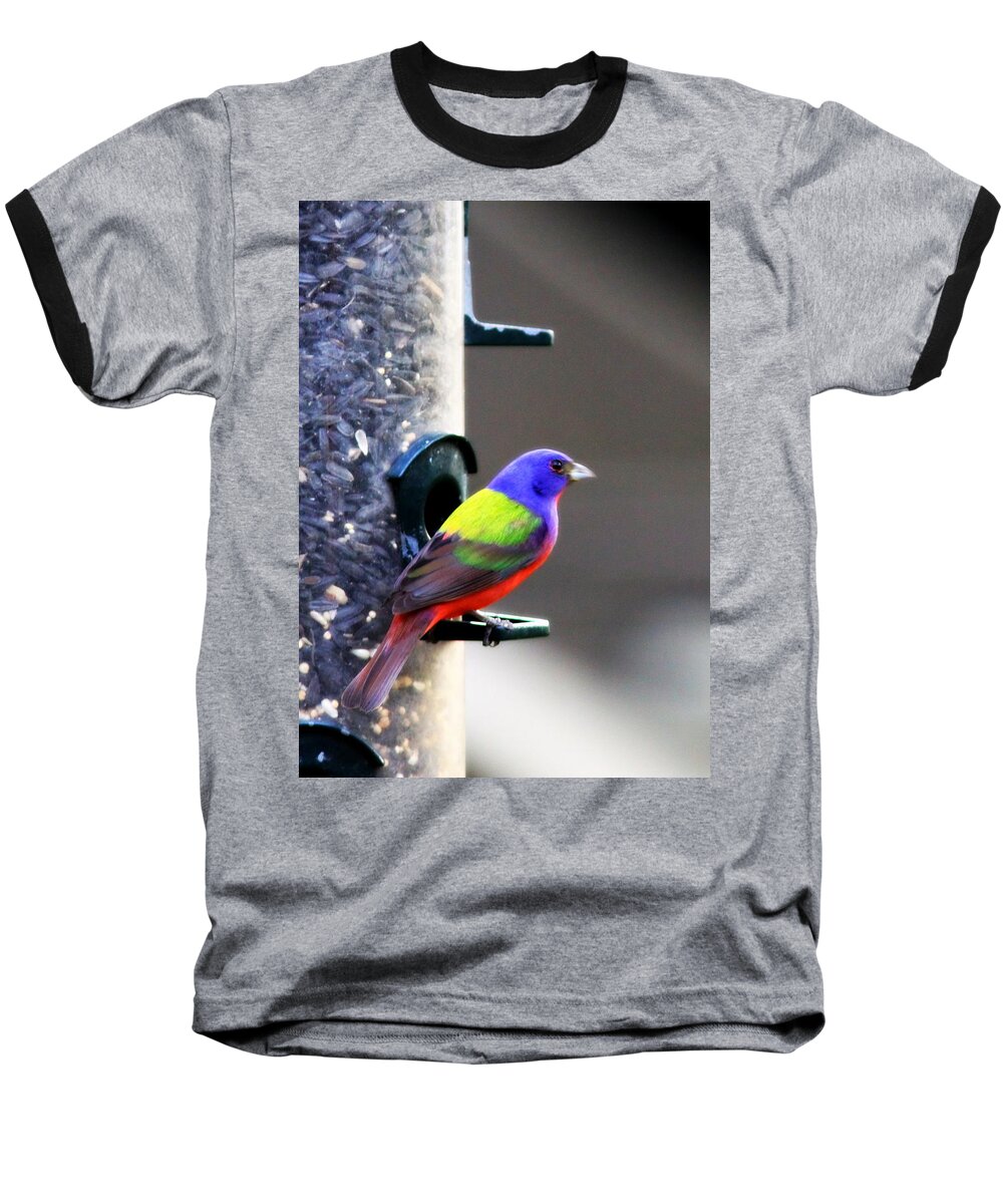 Bird Baseball T-Shirt featuring the photograph Painted Bunting - IMG 9757-002 by Travis Truelove