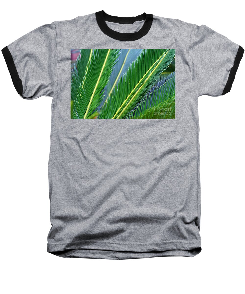 Palm Baseball T-Shirt featuring the photograph Palm Cycas Fronds by Karen Adams