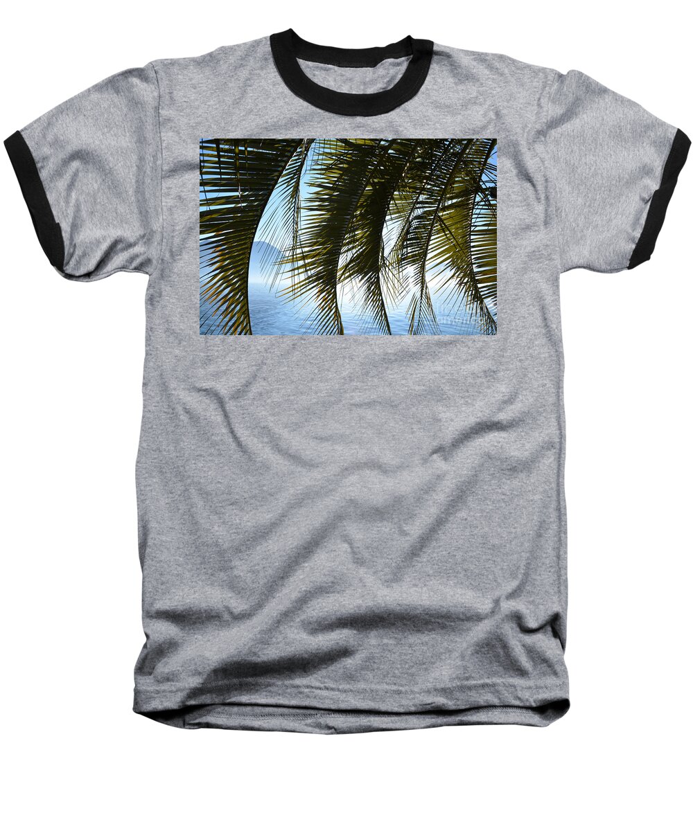 Palm Baseball T-Shirt featuring the photograph Palm leaves by Mats Silvan