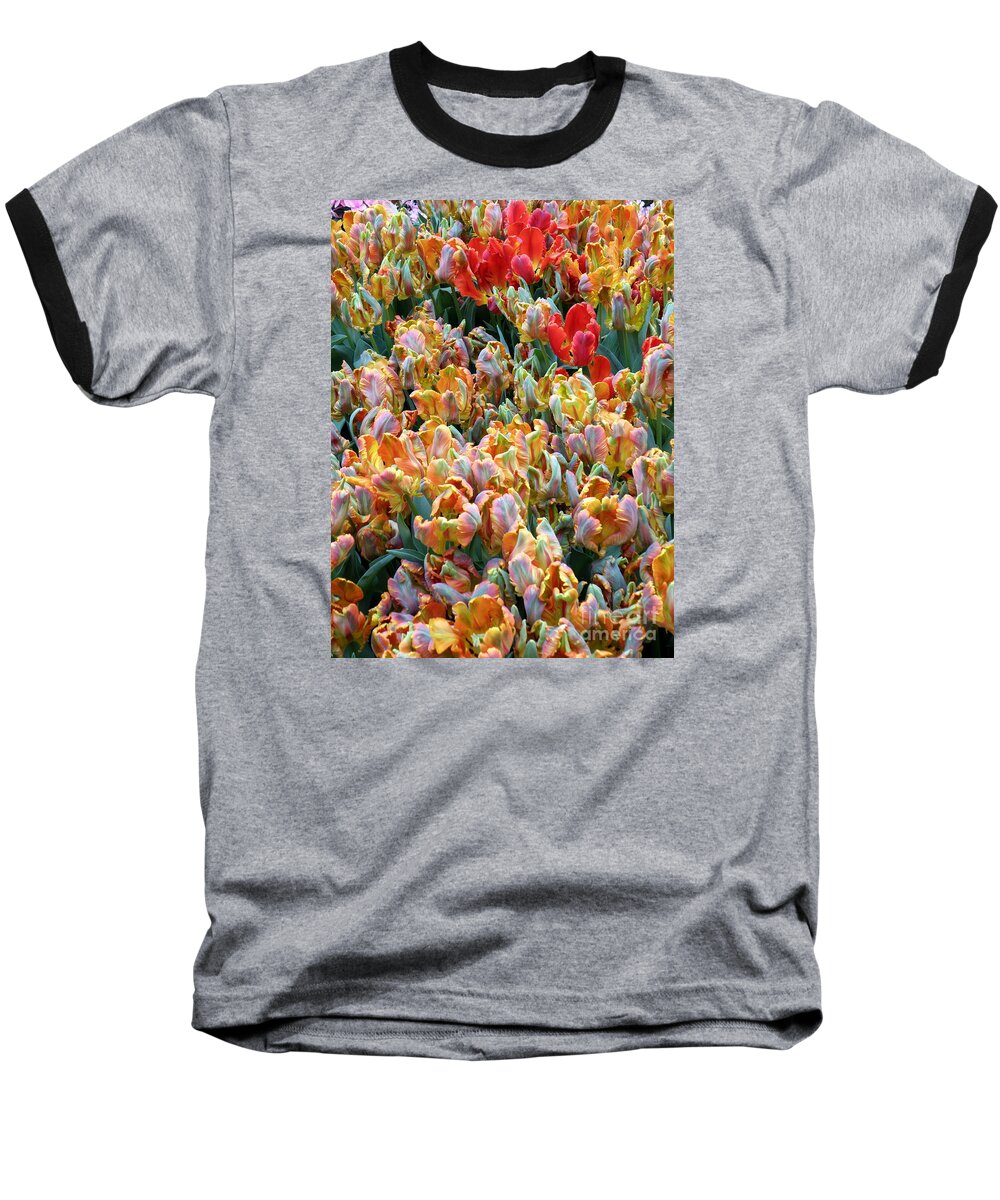 Flowers Baseball T-Shirt featuring the photograph Parrot Tulips by Tatyana Searcy