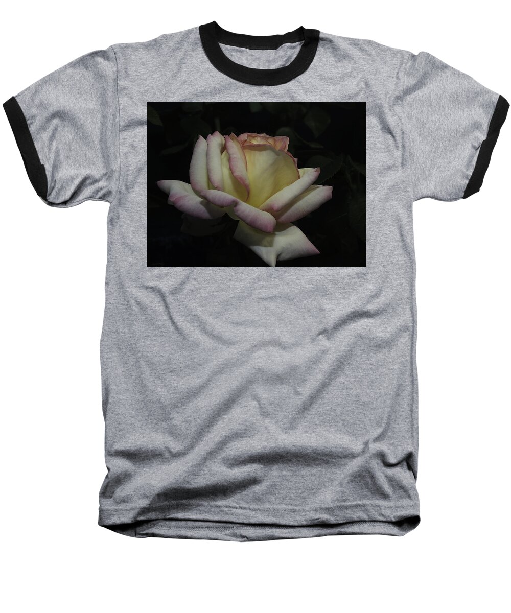 Roses Baseball T-Shirt featuring the photograph Peace to You and Yours by Lucinda Walter