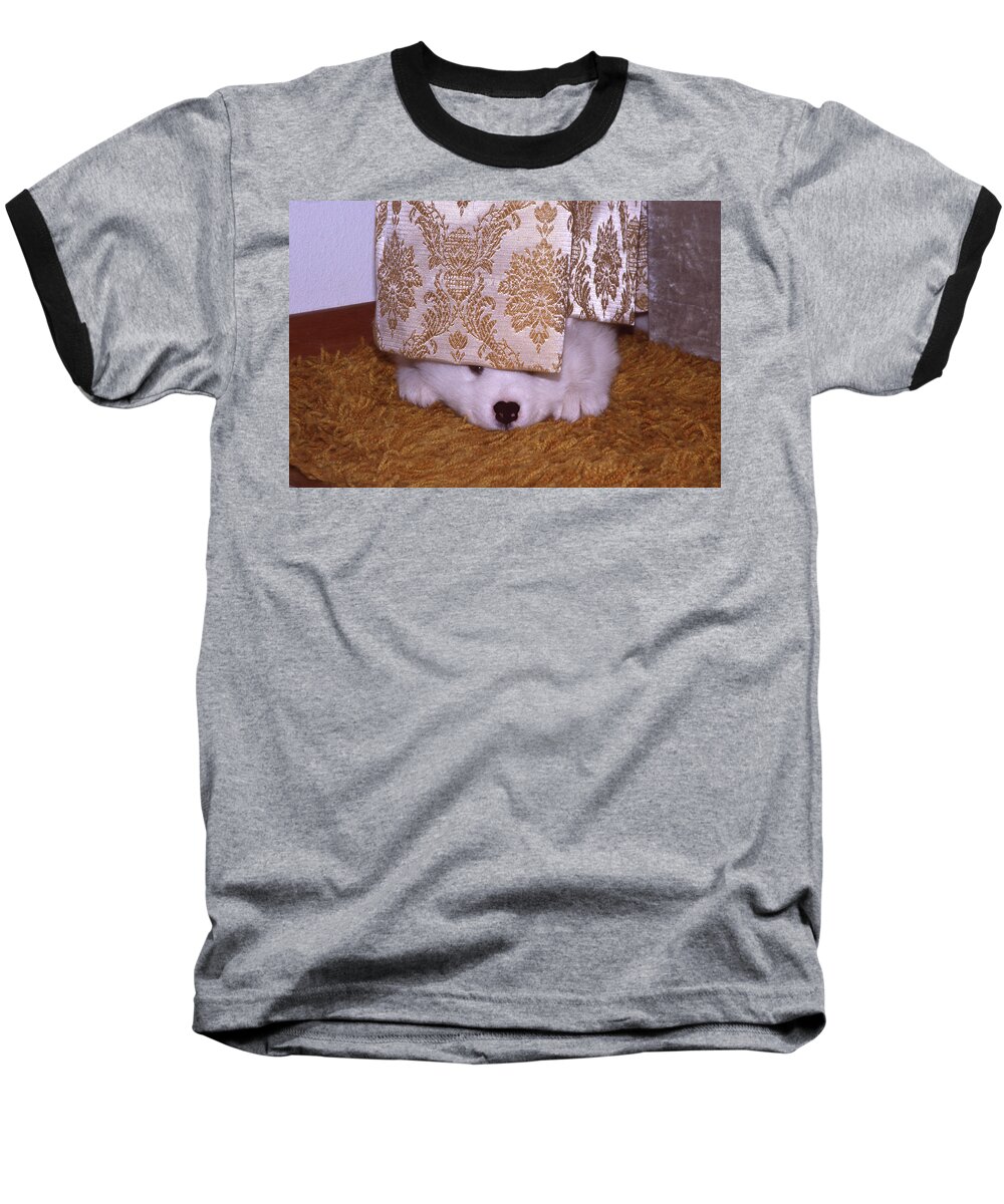 Puppy Baseball T-Shirt featuring the photograph Peek-A-Boo by Ginny Barklow