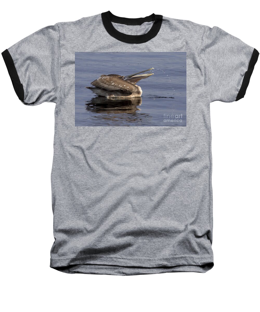 Brown Pelican Baseball T-Shirt featuring the photograph Pelican Fountain by Meg Rousher