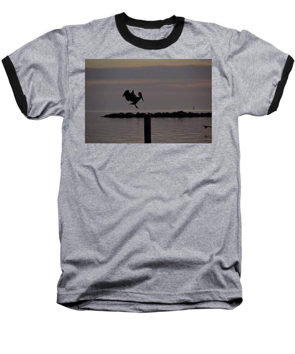 Pelican Baseball T-Shirt featuring the photograph Pelican Landing by Leticia Latocki