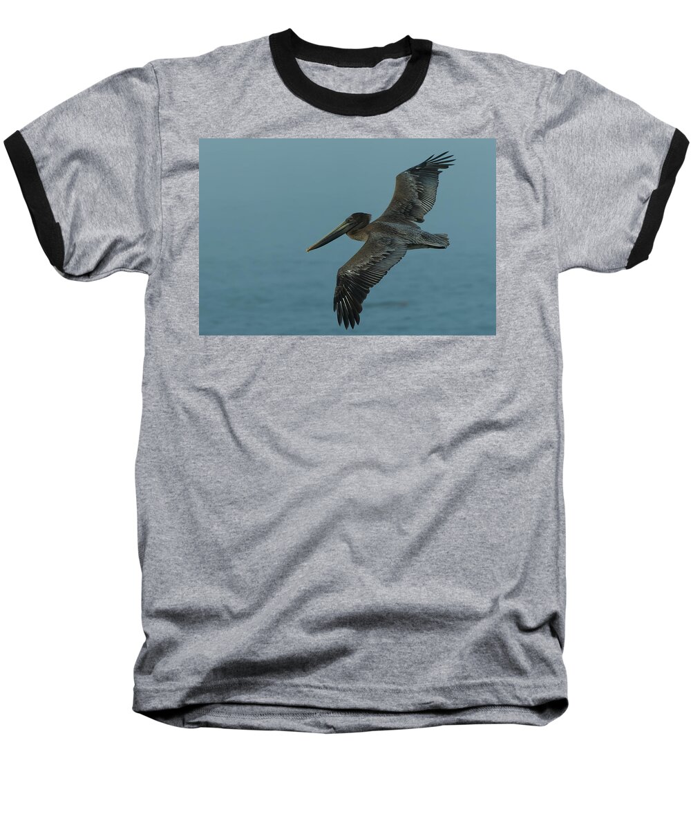 Dusk Baseball T-Shirt featuring the photograph Pelican by Sebastian Musial