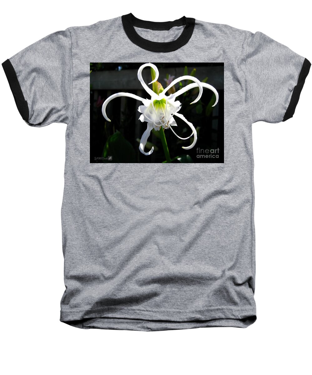 Mccombie Baseball T-Shirt featuring the photograph Peruvian Daffodil named Advance by J McCombie