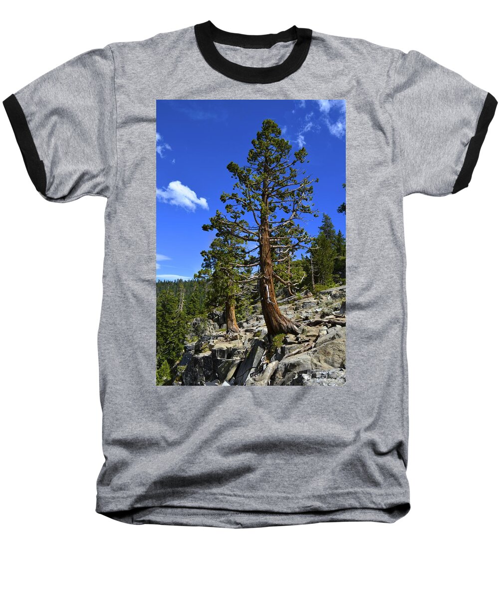  Emerald Bay Baseball T-Shirt featuring the photograph Trees Near Emerald Bay Lake Tahoe by Alex King