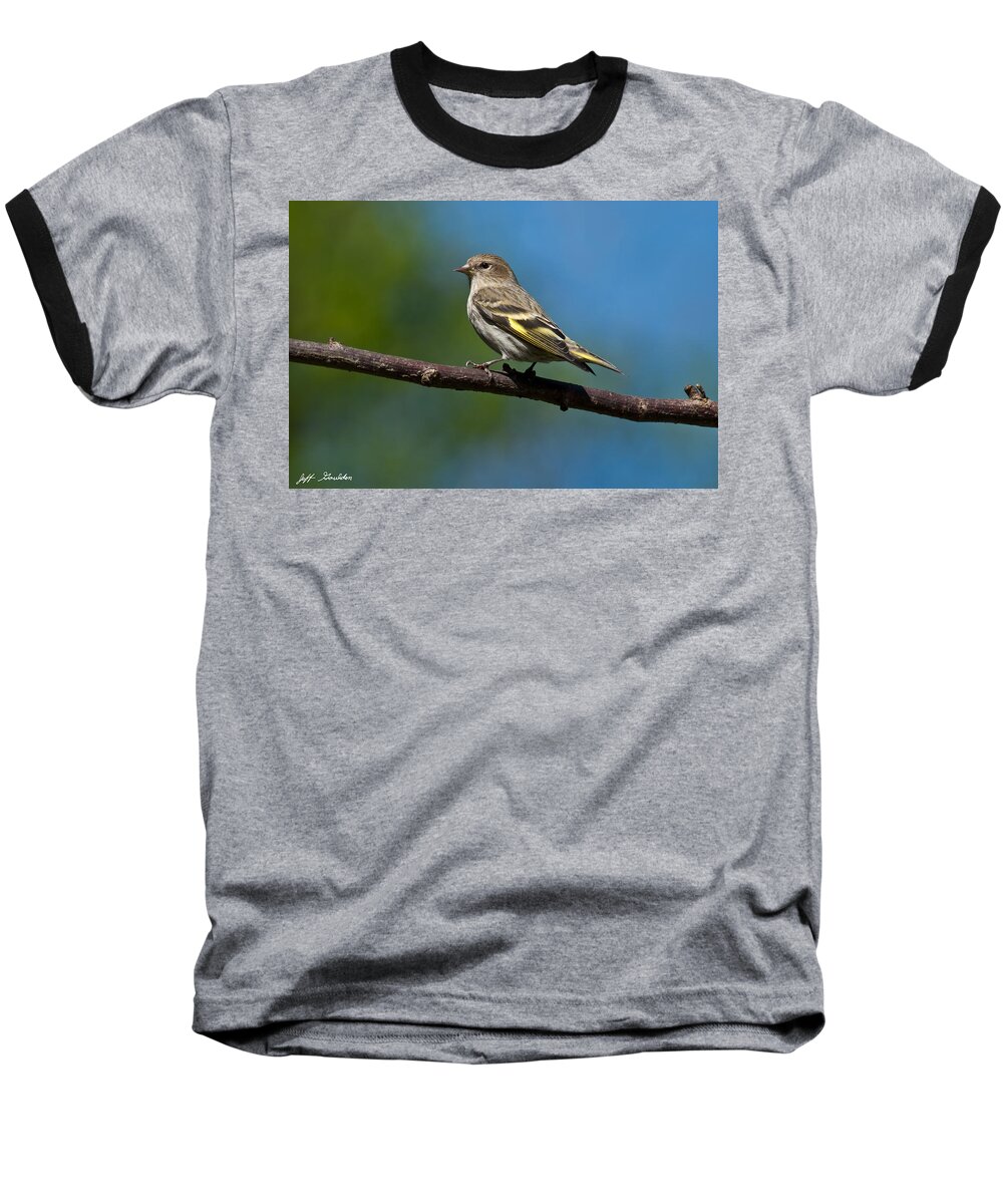 Animal Baseball T-Shirt featuring the photograph Pine Siskin Perched on a Branch by Jeff Goulden