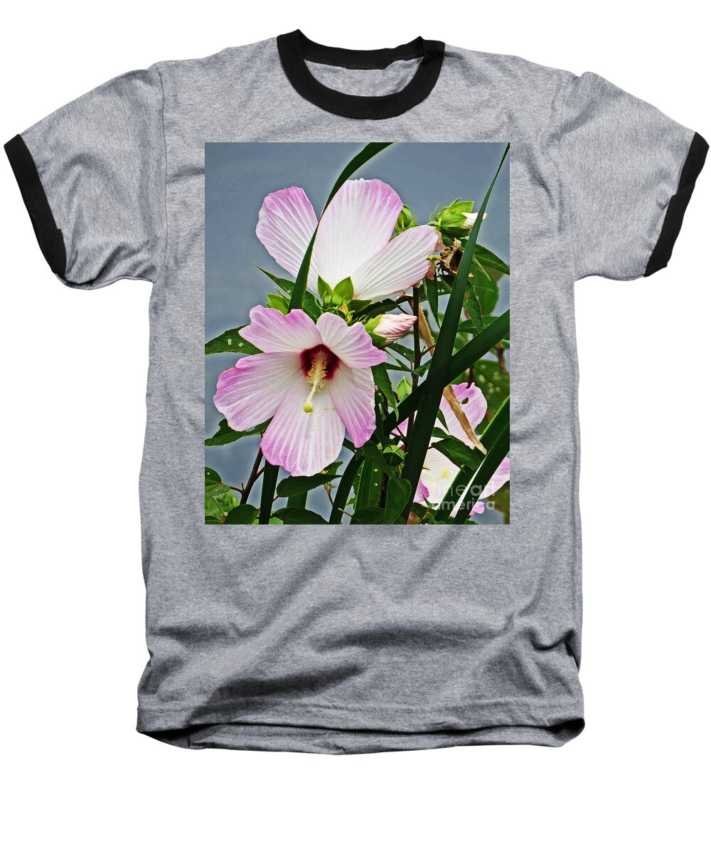 Ibiscus Syriacus Baseball T-Shirt featuring the photograph Pink Flowers by Dawn Gari