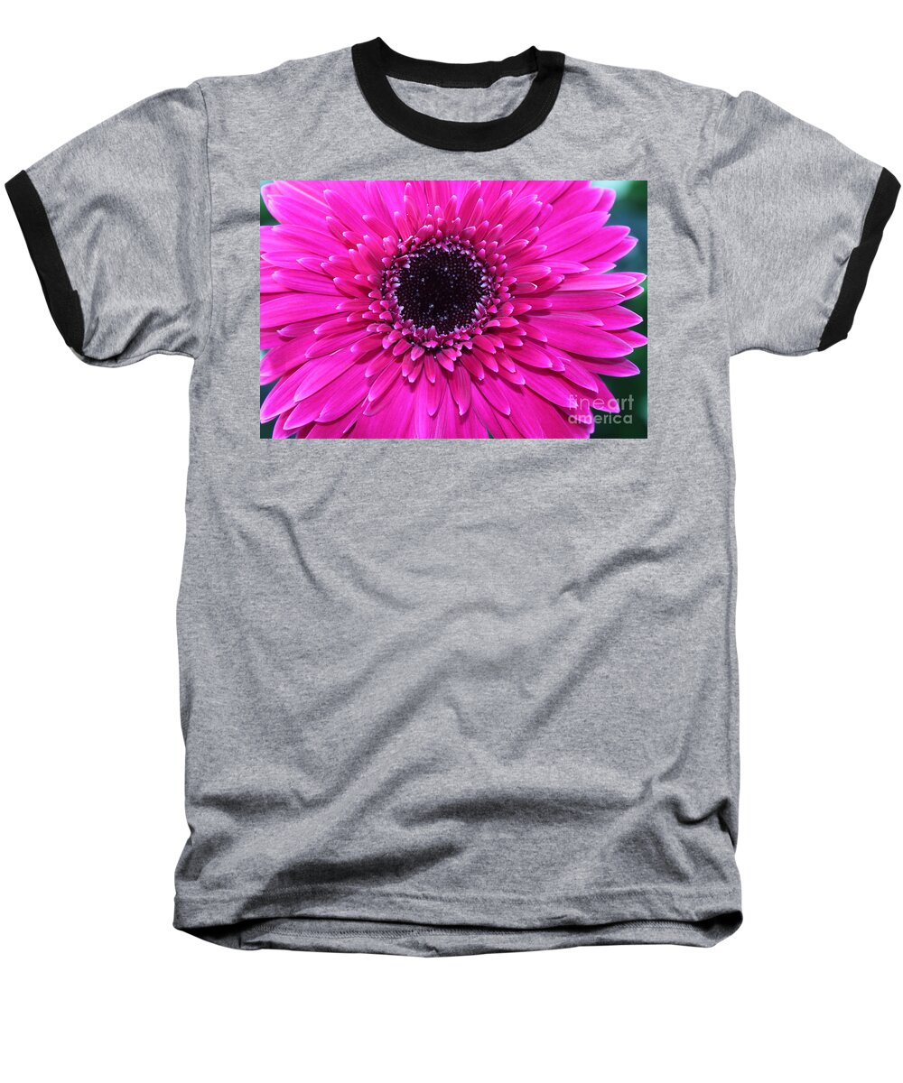 Flower Baseball T-Shirt featuring the photograph Pink Gerbera by Maxine Kamin