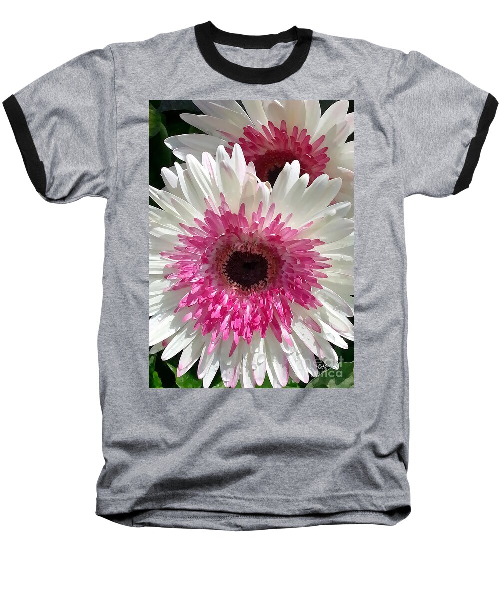 Portrait Baseball T-Shirt featuring the photograph Pink n white gerber daisy by Sami Martin