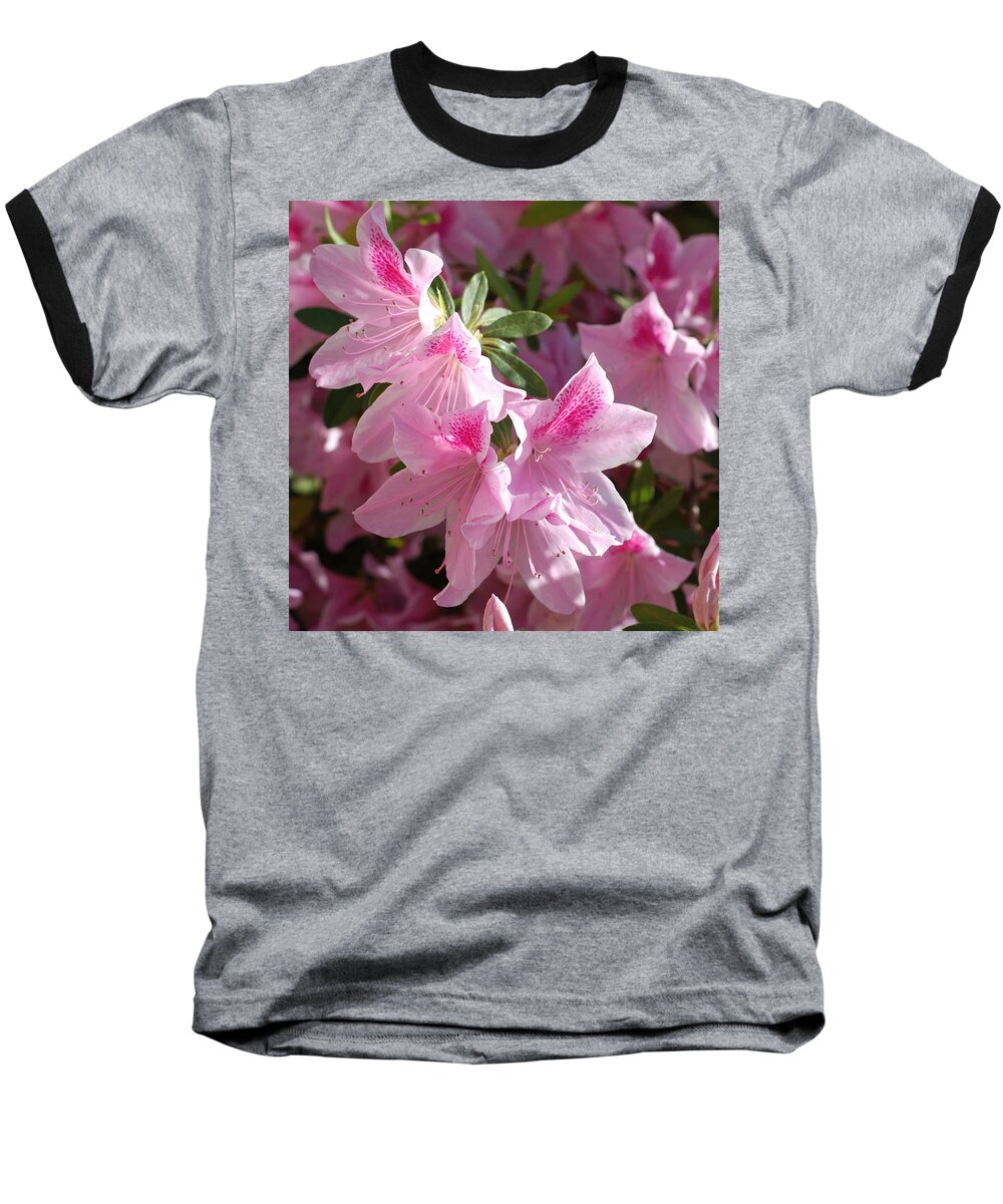 Pink Flowers Baseball T-Shirt featuring the photograph Pink Star Azaleas in Full Bloom by Connie Fox