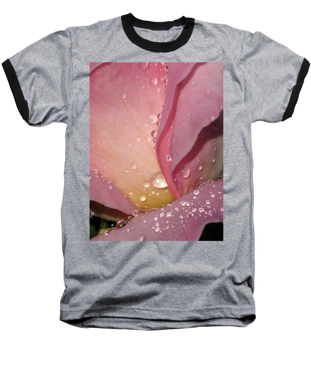 Pink Tea Rose Baseball T-Shirt featuring the photograph Pink Tea Rose 02 by Pamela Critchlow