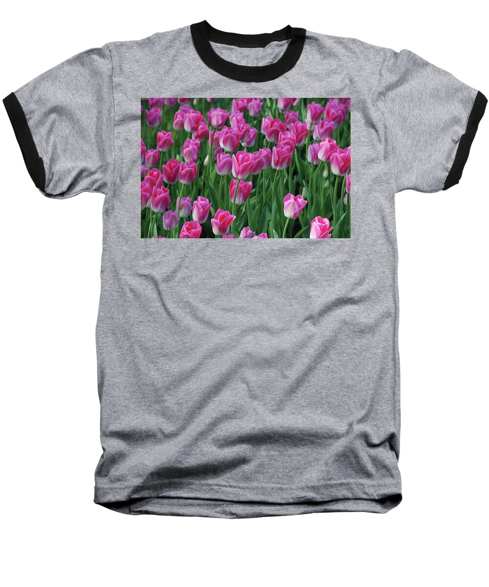 Pink Tulips Baseball T-Shirt featuring the photograph Pink Tulips 2 by Allen Beatty
