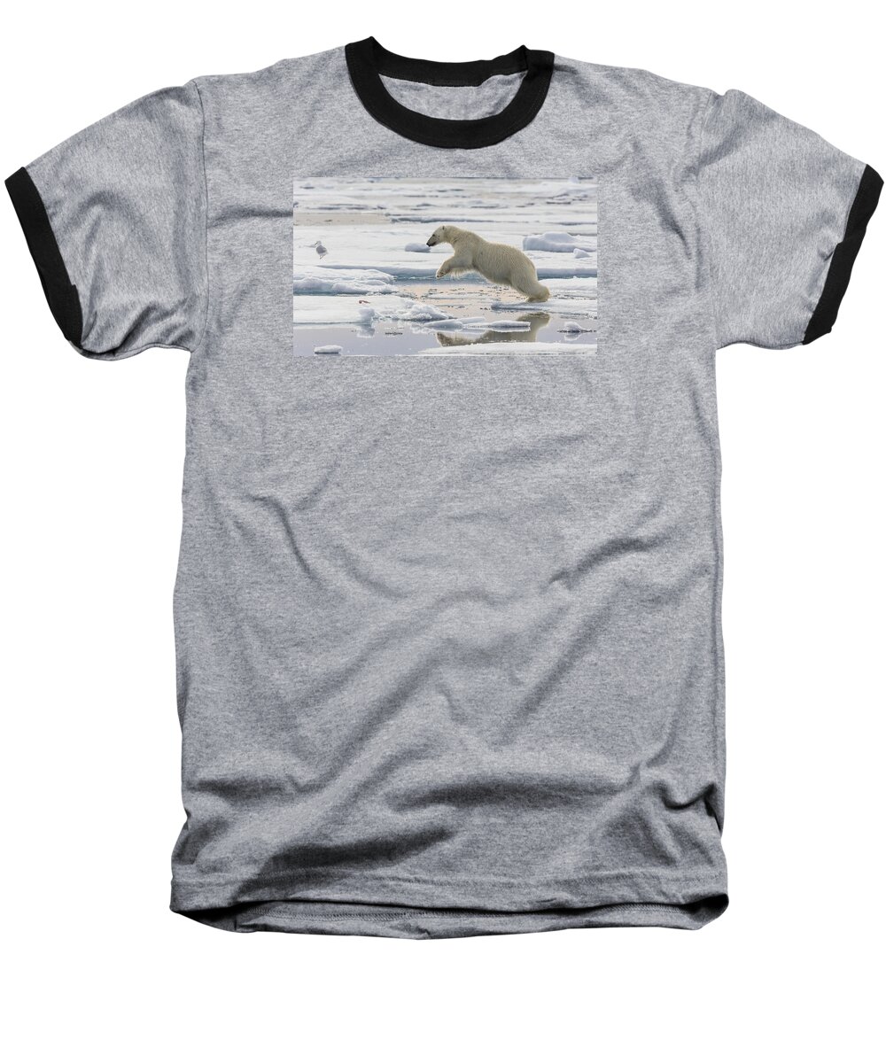 Nis Baseball T-Shirt featuring the photograph Polar Bear Jumping by Peer von Wahl
