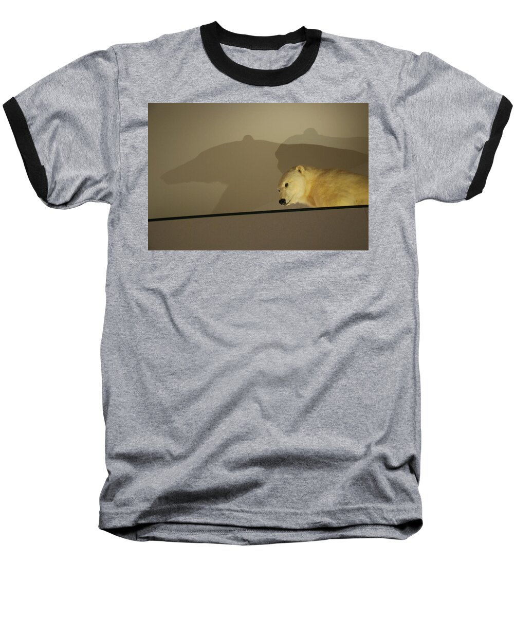 Natural History Baseball T-Shirt featuring the photograph Polar Bear Shadows by Kenny Glover