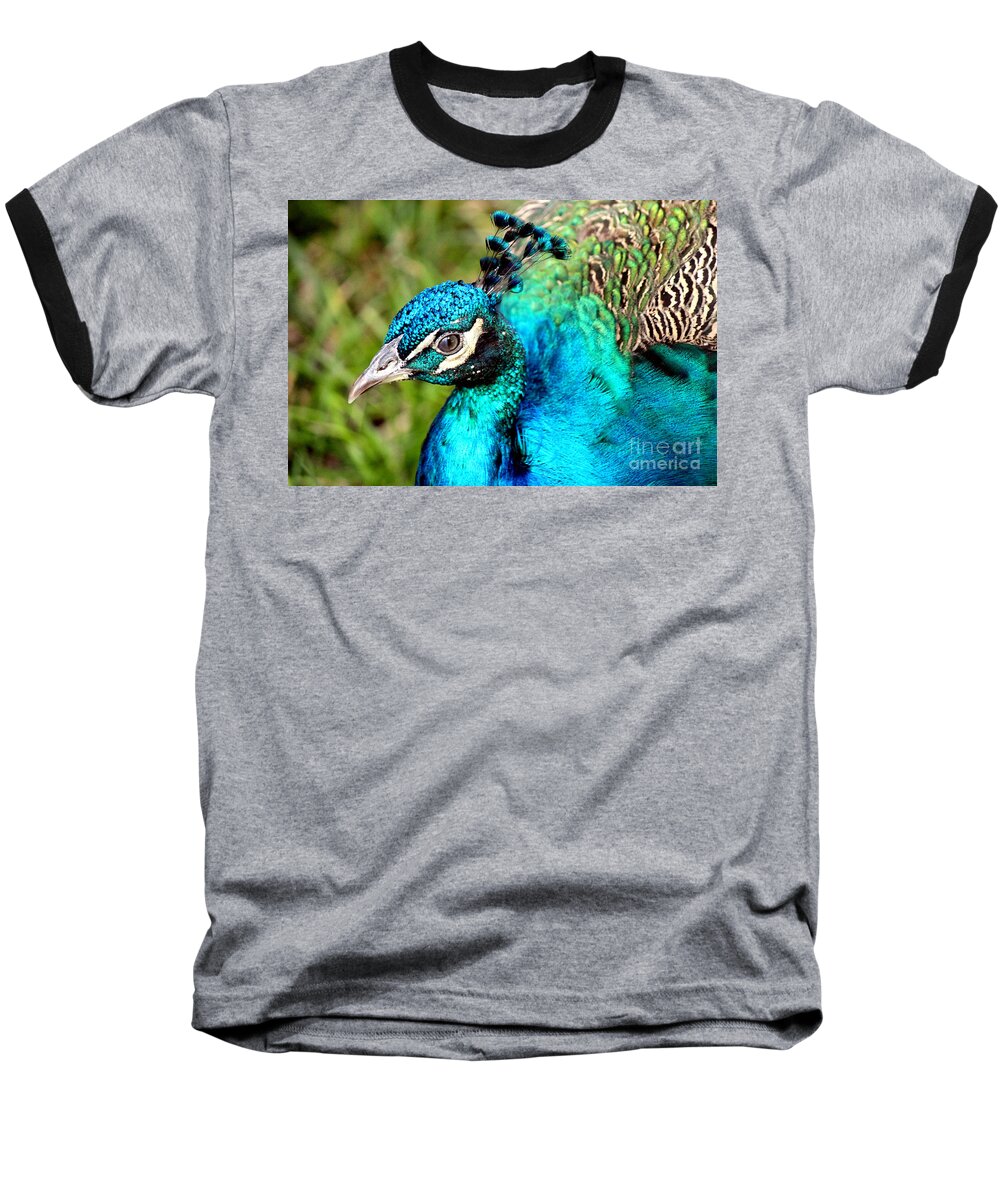 Peacock Portrait Baseball T-Shirt featuring the photograph Portrait Of A Peacock by Kathy White