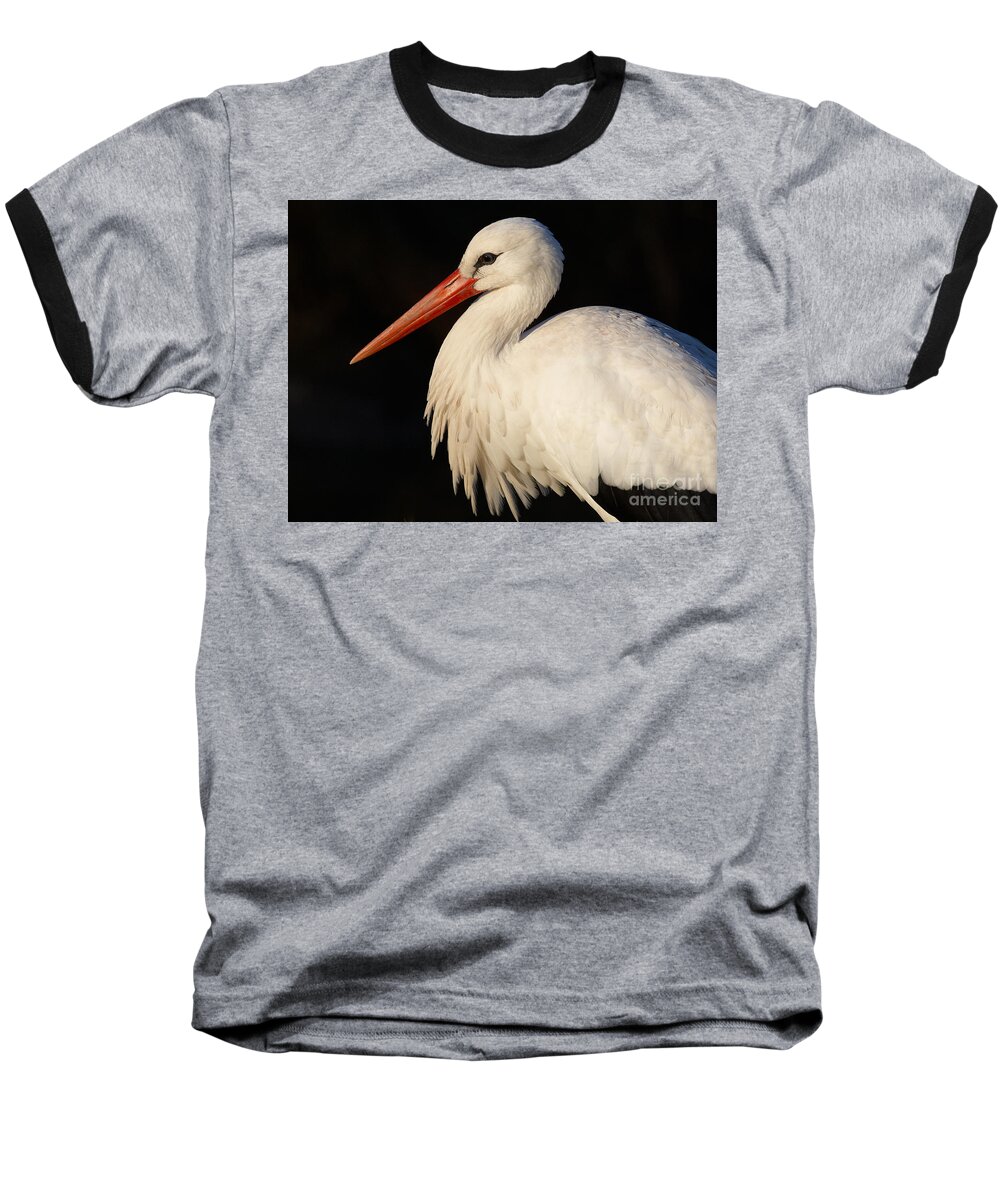 Close-up Baseball T-Shirt featuring the photograph Portrait of a stork with a dark background by Nick Biemans