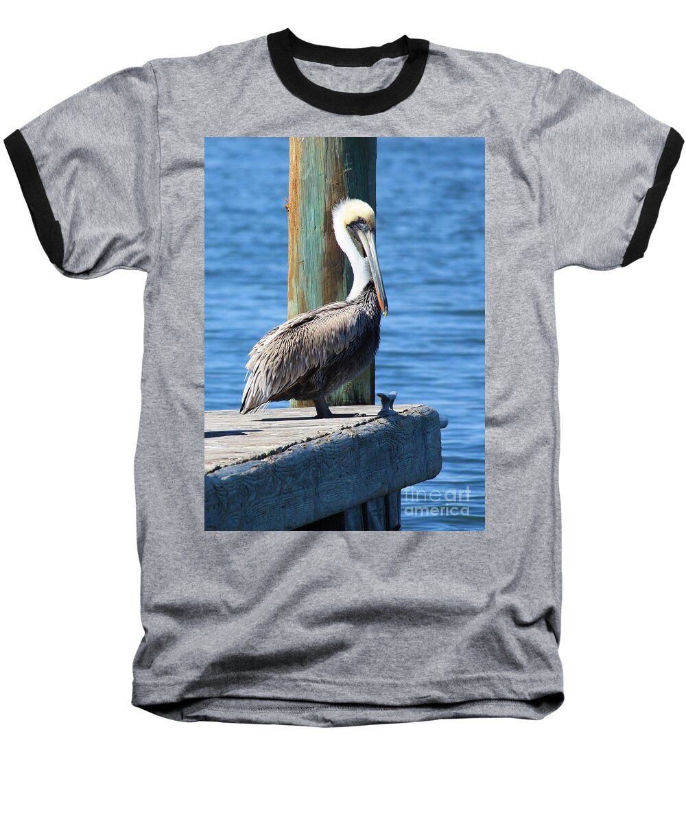 Animal Baseball T-Shirt featuring the photograph Posing Pelican by Carol Groenen