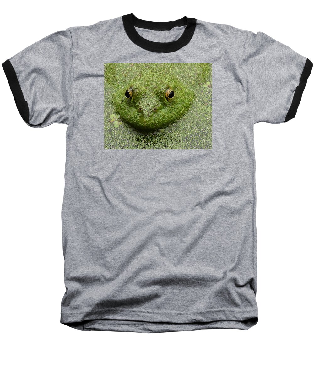 Bullfrog Baseball T-Shirt featuring the digital art Predator by I'ina Van Lawick
