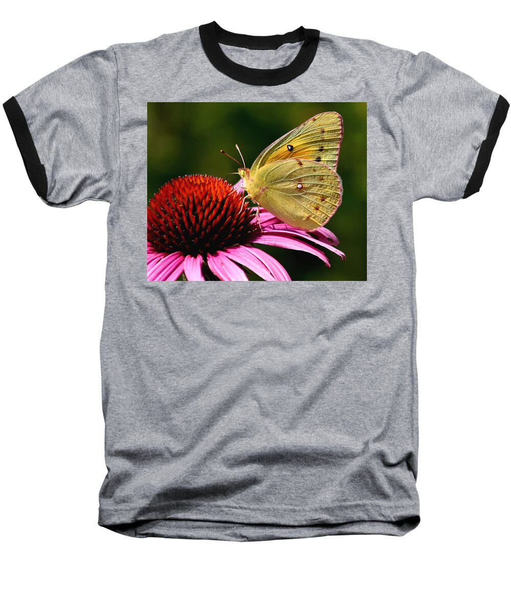 Flower Baseball T-Shirt featuring the photograph Pretty as a Butterfly by Roger Becker